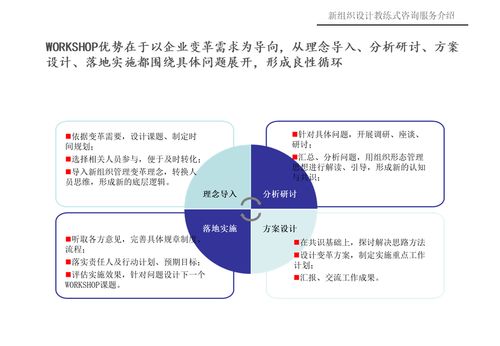 新組織設(shè)計(jì)教練式咨詢服務(wù)介紹